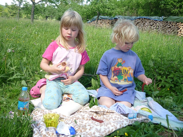 backyard picnic