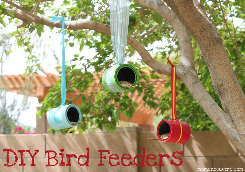 tin can bird feeder
