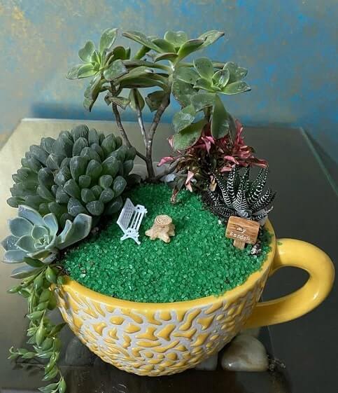 Indoor fairy garden