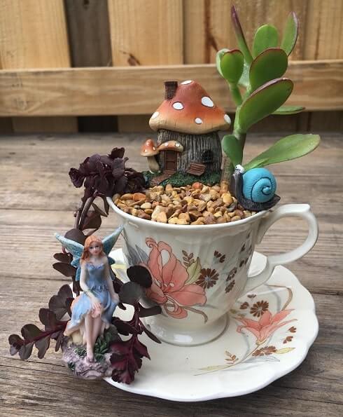 Teacup fairy garden kit