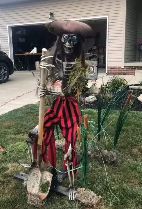 funny pirate skelton digging