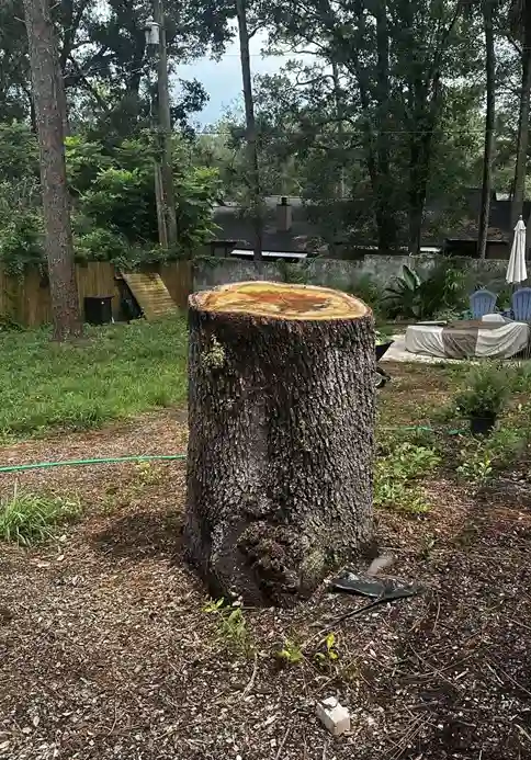 tree stump fairy house ideas 38